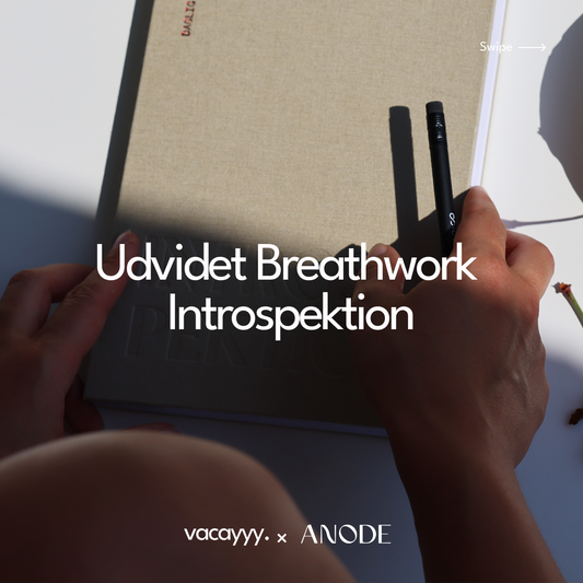 19/11/24 - Udvidet Breathworkshop